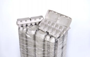 preview image: Twin Six Plain