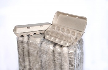 preview image: Master Top Plain